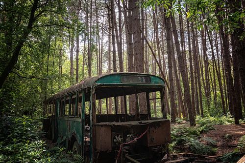 Verlaten bus in het bos