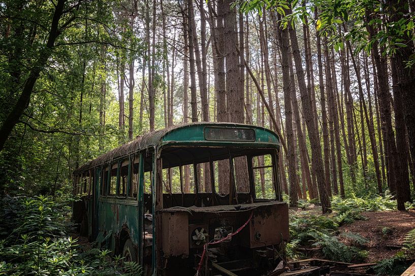 Bus abandonné dans la forêt par Maikel Brands