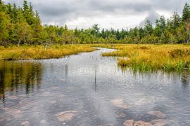 Ruhige Landschaft mit Teich von Patricia Hofmeester
