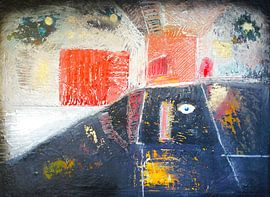 De Koning van Afrika von Erwin de Zwart