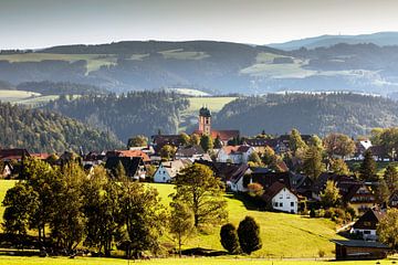 View of St.Märgen by Jürgen Wiesler