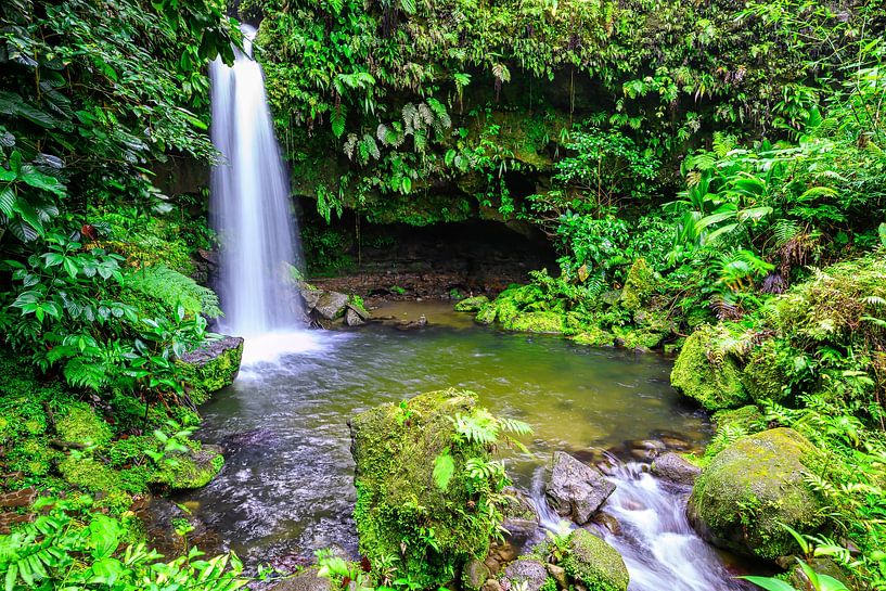 One of the most popular spots on the Caribbean island of Dominica is the Emerald Pool by Andreas Völkel