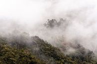 Neblige Berggipfel in Neuseeland von Lisanne de Beun Miniaturansicht