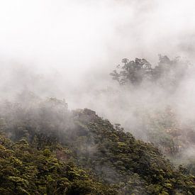 Mistige bergtoppen in Doubtful Sound, Nieuw-Zeeland van Lisanne de Beun