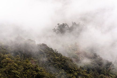 Foggy mountain peaks in New Zealand