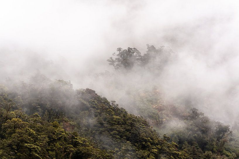 Neblige Berggipfel in Neuseeland von Lisanne de Beun