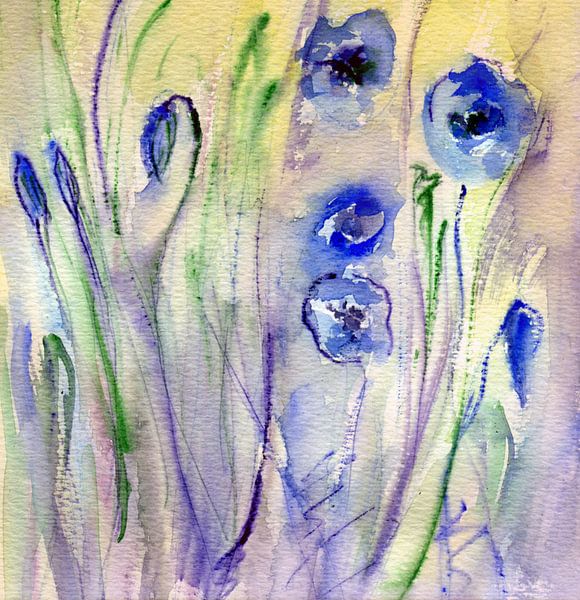 Papaver in het blauw van Claudia Gründler