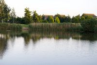 Wasser