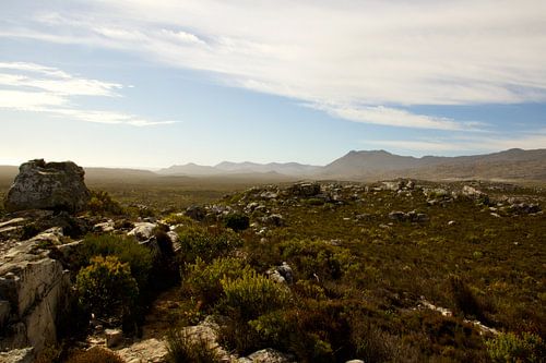 Cape of Good Hoop