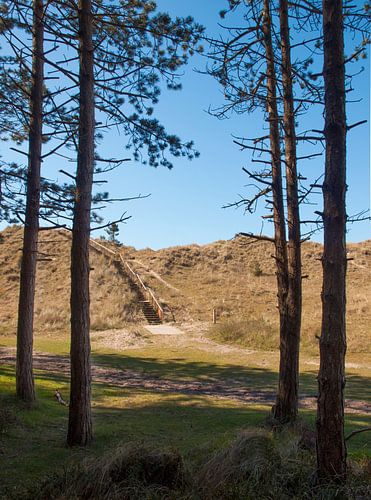 Doorkijkje naar duin met trap, Terschelling