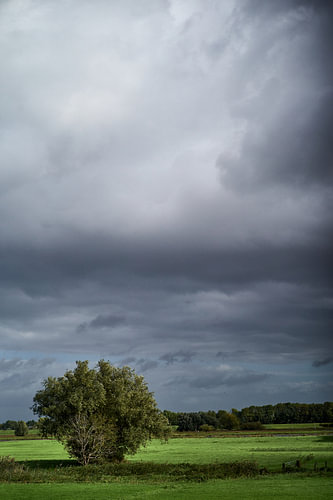 Between Zwolle and Kampen on the River IJssel