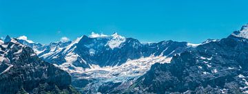 Alpen panorama van Steven Van Aerschot