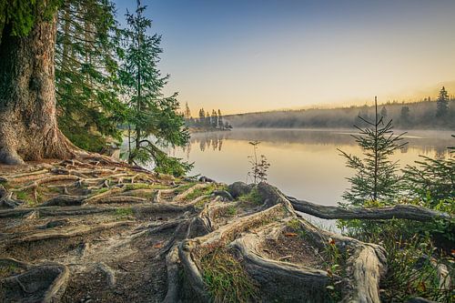 Ochtendstemming op de Oderteich in het Harzgebergte van Harzwald Fotograf