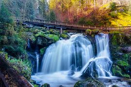 Triberg waterfall by Hans-Bernd Lichtblau