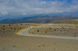 De Andes by Margreet van Gastel