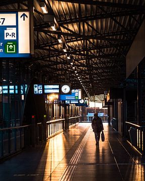 Golden hour in the station by Bram Veerman