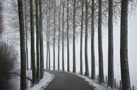 Straße in verschneiter Landschaft von Niek van Vliet Miniaturansicht