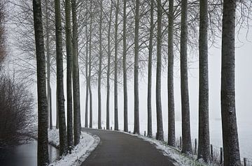 Road in snowy landscape by Niek van Vliet