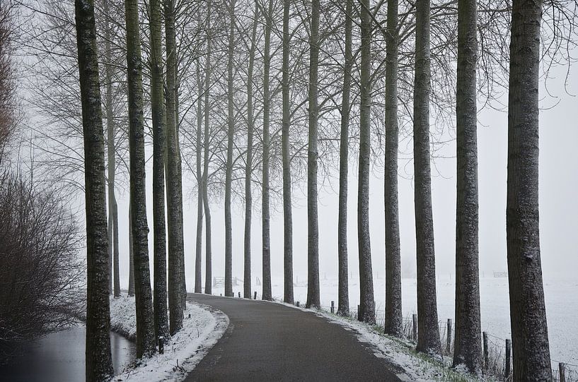 Route dans un paysage enneigé sur Niek van Vliet