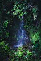 Wasserfall auf Madeira