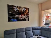 Photo de nos clients: Le chat en bandes lumineuses 3D par Bert Hooijer