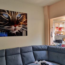 Photo de nos clients: Le chat en bandes lumineuses 3D sur Bert Hooijer, sur aluminium
