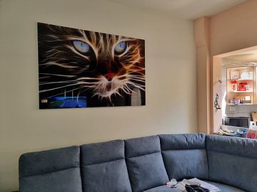 Klantfoto: De kat in 3D licht strepen van Bert Hooijer