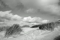Dünenlandschaft