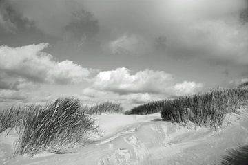 Duinlandschap van Helga Kuiper