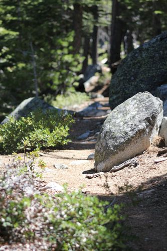 wandelpad met stenen von Sanne Willemsen