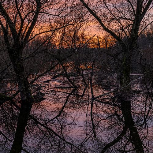 Verheddertes Abendlicht von André Post