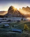 Sfeervolle Alpe di Siusi in de Dolomieten in de ochtend. van Voss Fine Art Fotografie thumbnail