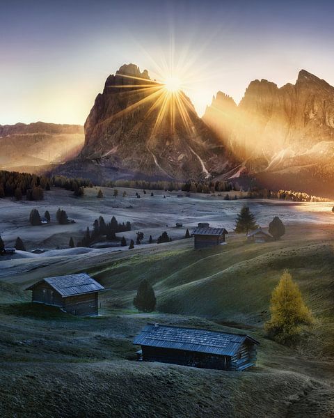 Sfeervolle Alpe di Siusi in de Dolomieten in de ochtend. van Voss Fine Art Fotografie