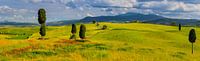 Panorama Agriturismo Terrapille, Val d'Orcia, Toskana, Italien von Henk Meijer Photography Miniaturansicht