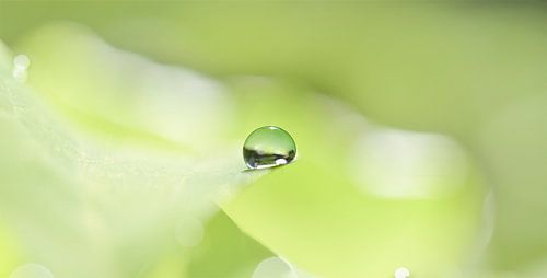 Natuurlijke stilte van Hilde Remerie Photography and digital art