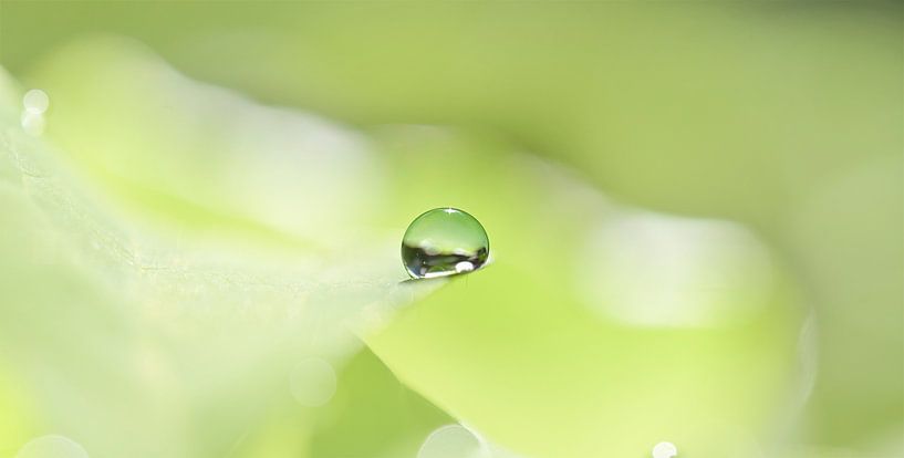 Le silence naturel par Hilde Remerie Photographie et art numérique