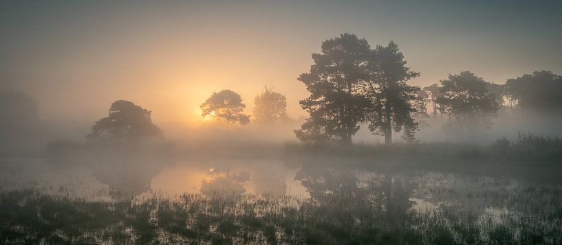 Sun rises above misty fen by Michel Seelen
