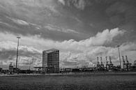 2e Maasvlakte van de buurtfotograaf Leontien thumbnail