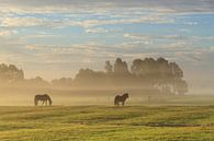 Pferde im Nebel. von Sander van der Werf Miniaturansicht