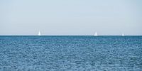Segelboote am Horizont vor der Küste von Scheveningen von MICHEL WETTSTEIN Miniaturansicht