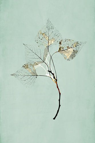 Fragile. Japandi stijl.