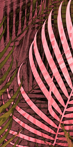 TROPICAL POPPY-PINK LEAVES-1H von Pia Schneider