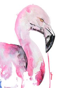 Kunstdruck Vögel - Spezielle Flamingo-Illustration