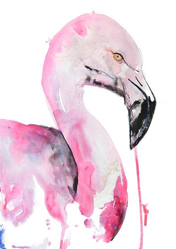 art print birds - Special Flamingo illustration