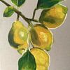 Wenn das Leben dir Zitronen gibt, male sie von Helia Tayebi Art