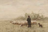 Shepherd With a Flock of Sheep van Antonije Lazovic thumbnail