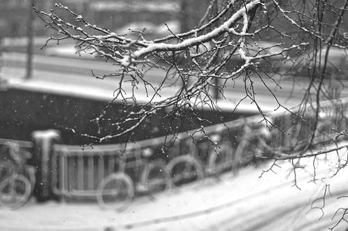 Amsterdam winter sneeuw 