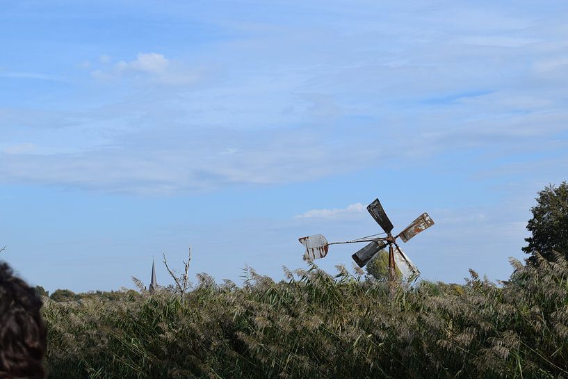 Foto van oude windmolen in natuurlandschap van grasland, riet en bomen van Breezy Photography and Design