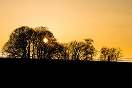 Golden evening atmosphere in the countryside by Frank Kuschmierz