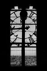 Tic tock, it's pigeon o'clock. sur Elianne van Turennout